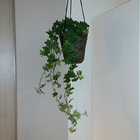 Della Rotonda 아파트