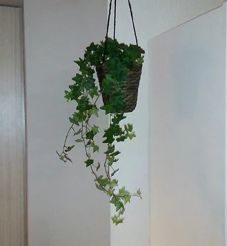 Della Rotonda شقة