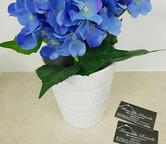 Della Rotonda * كاتانيا